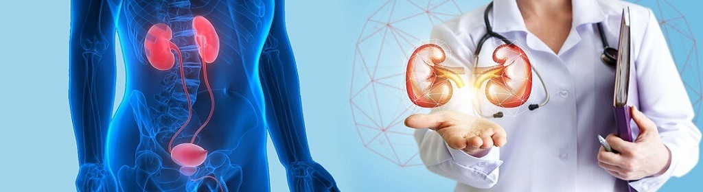 Best Kidney Transplant in Delhi