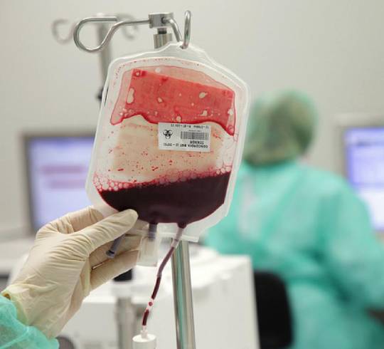 Transfusion Medicine