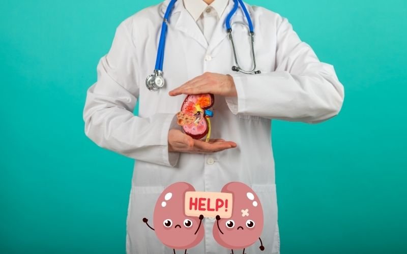 Renal Concretion treatment in Delhi