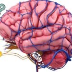 ATAXIA brain treatment in Delhi