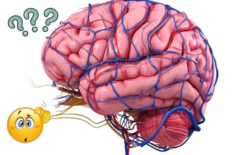 ATAXIA brain treatment in Delhi